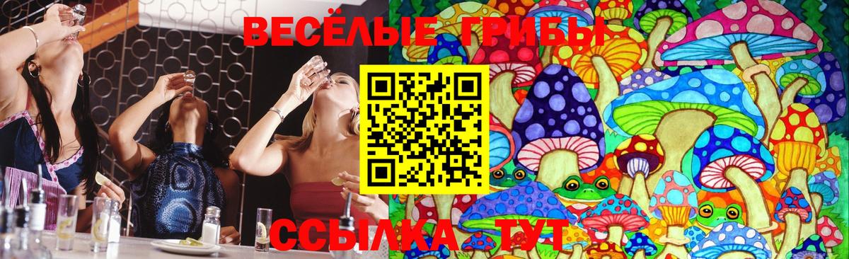 купить закладку  Псилоцибиновые грибы Magic Shrooms  Вход с VPN  Унеча 